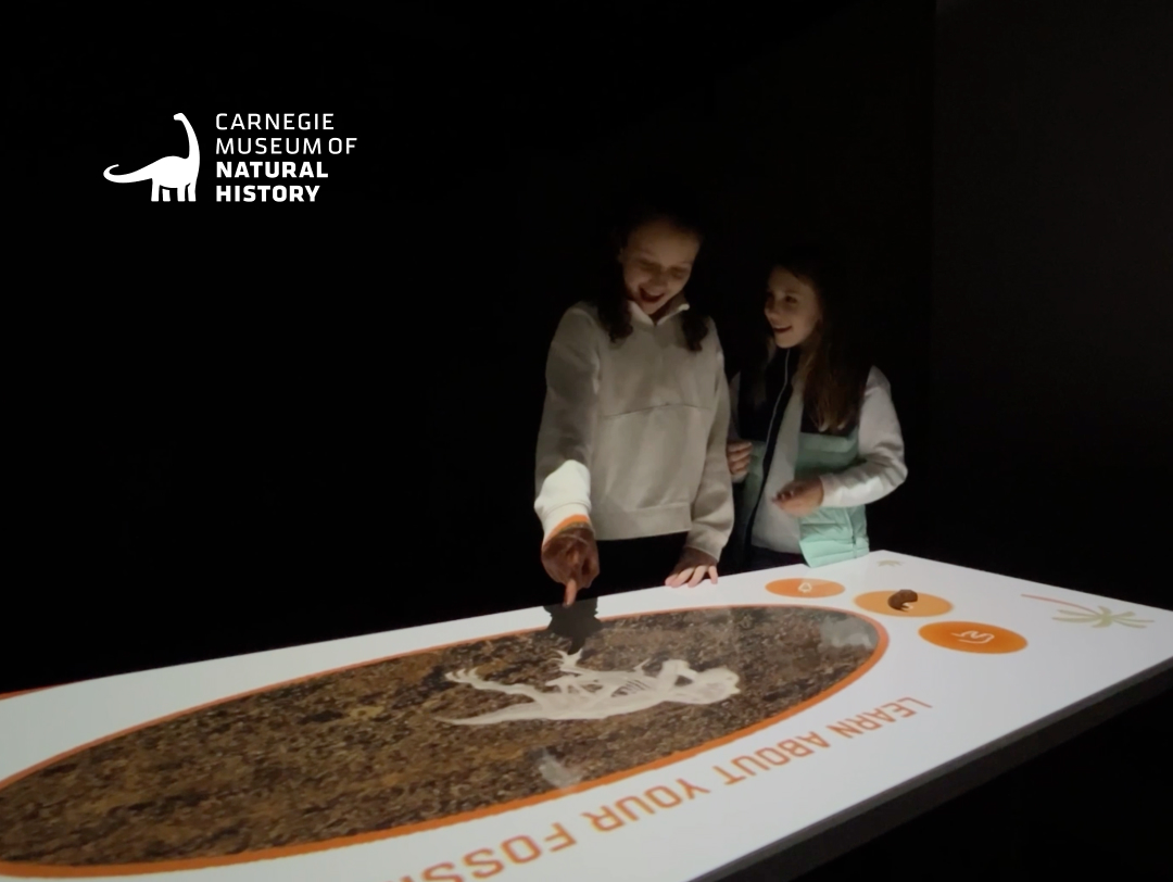 Children digging for a fossil on an interactive projection-mapped sand table at the Carnegie Museum of Natural History